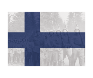 Finland Flag Combat Label
