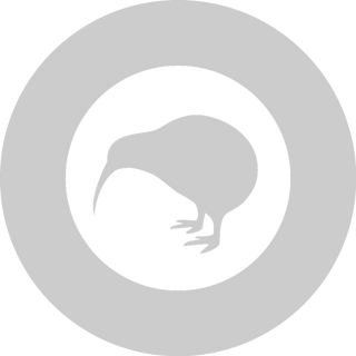 Your Choice Laser Etched Beer Can Glass