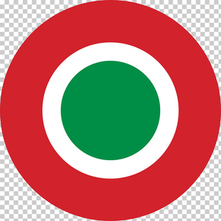 1/600 Italian Roundels & Flag Water Slide Decals