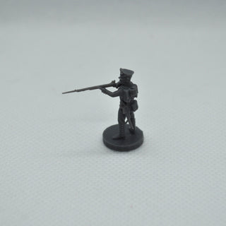 3D Printed 1/72 Napoleonic Russian Musketeer (x10)