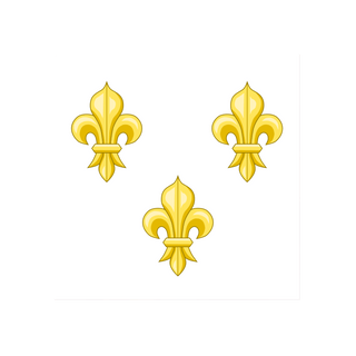 Acrylic Napoleonic Flag of French Royalist Token (x10) - Combat Miniatures