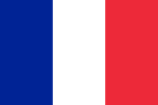 Acrylic Flag of France Token (x10)