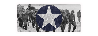 United States Combat Label (2"x5") | Vietnam War Era Organization Label - Combat Miniatures