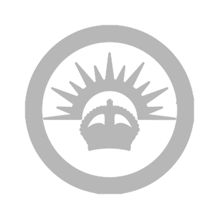 Your Choice Laser Etched Beer Can Glass - Combat Miniatures