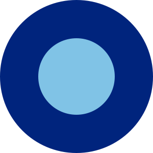 1/300 - 1/600 Far East Command Aircraft Roundels Water Slide Decals - Combat Miniatures